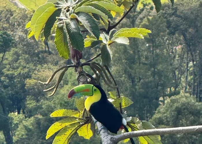 Aves Monteverde Eco Con Jacuzzi * La Cruz (Abangares)