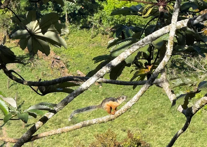 Aves Monteverde Eco Con Jacuzzi Holiday home *