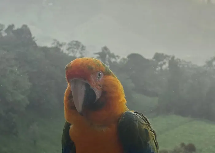 Aves Monteverde Eco Con Jacuzzi *