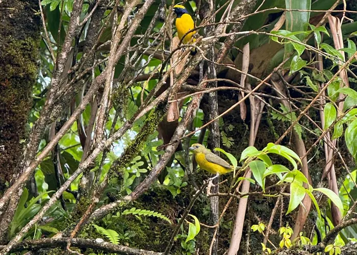 Aves Monteverde Eco Con Jacuzzi Holiday home *
